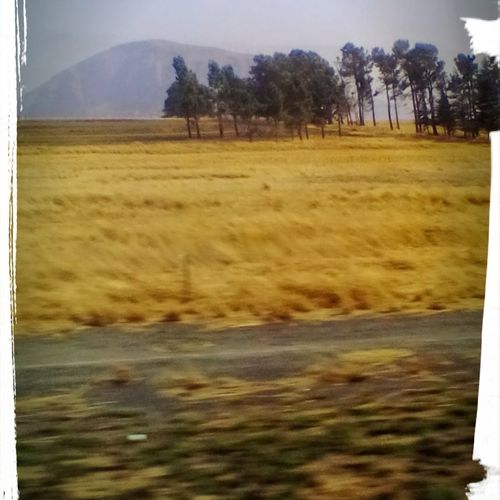 warm Africa :-) Gods work.