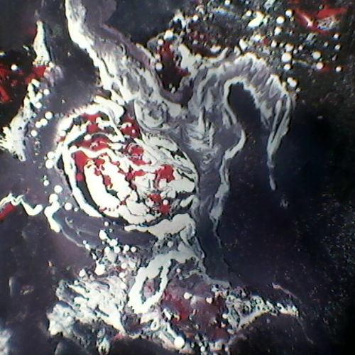 &quot;DRAGON&quot;