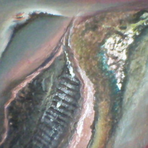Place called Earth