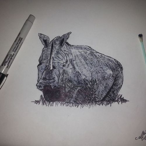 great white rhino