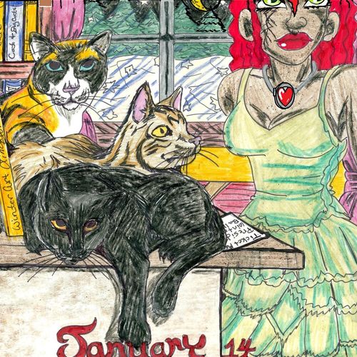 crazy cat lady