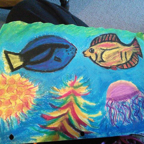 Sea Life