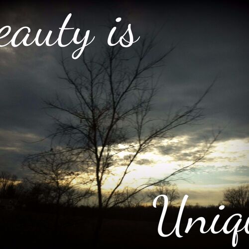 Beauty is Unique