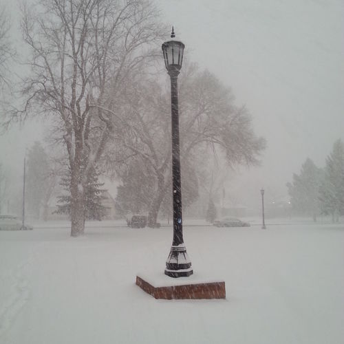 winters still beauty