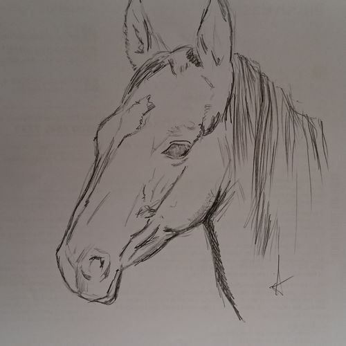 Quick drawing