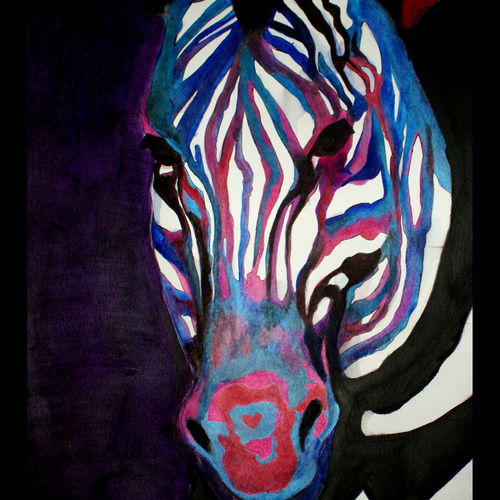 Zebra.