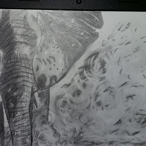 Elephant in the dust