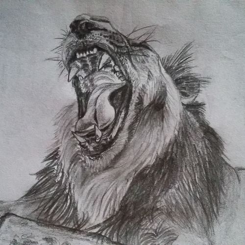 Lazy Lion