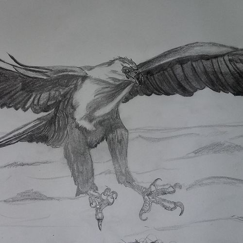 Eagle hunting