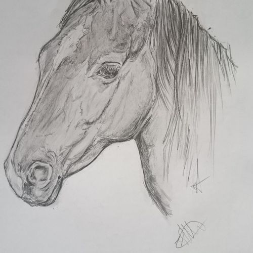 Horse 2