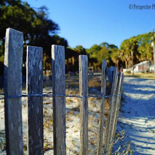 Beach Fence