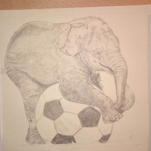 Baby elephant
