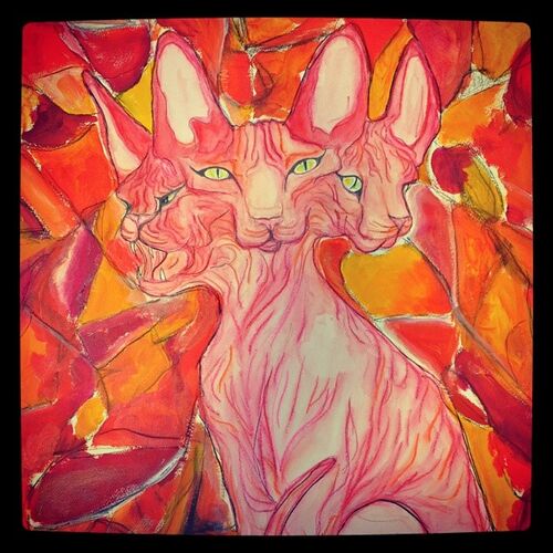 Three cats, Nine lives