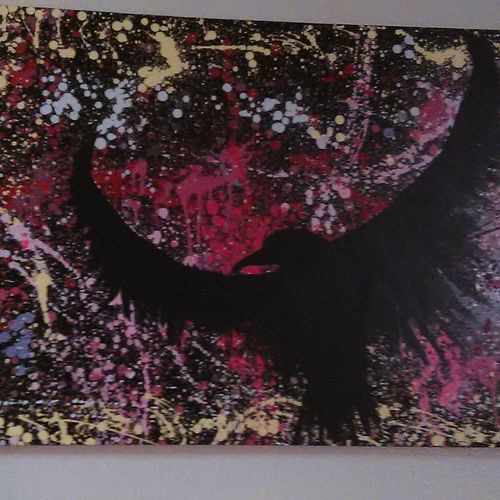 bird of caos 