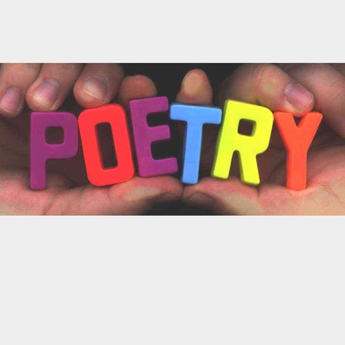 meow - sparrows comedy theme