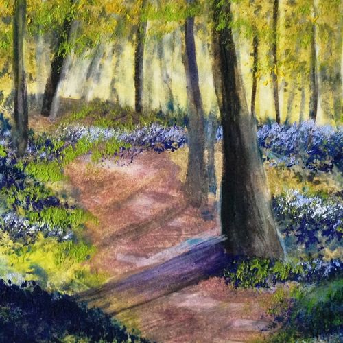 Bluebells in Dorset