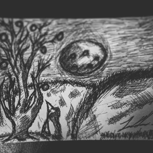 The Life of Night