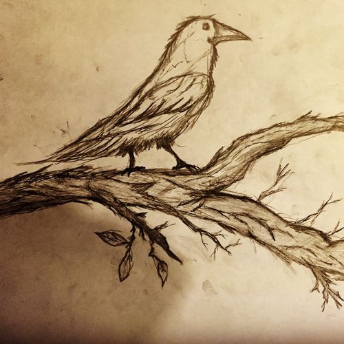 Bird Branch