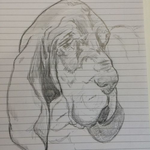 warm up basic sketch