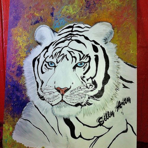white tiger