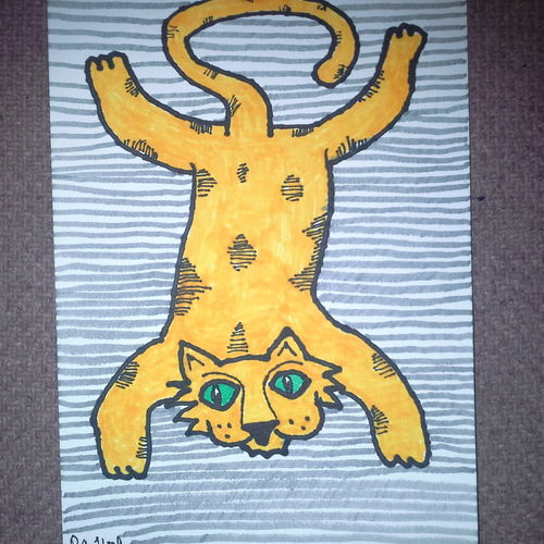 Cat