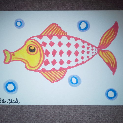 Orange fish