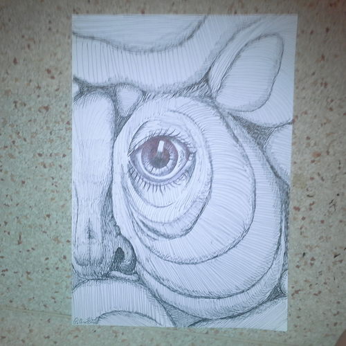 Eye spirals