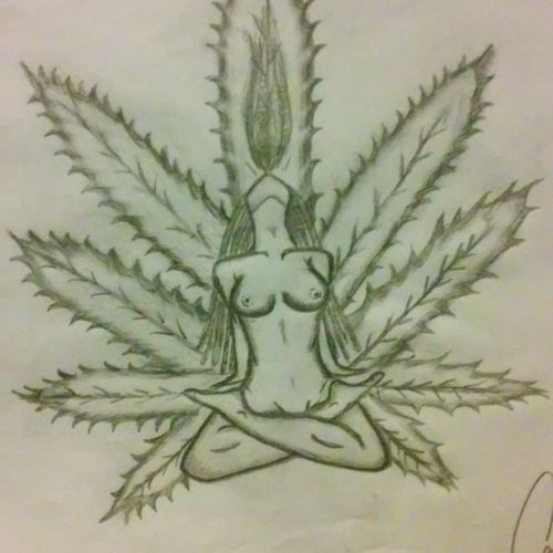 The Medicine Women
