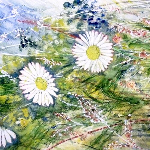 Daisy Painting