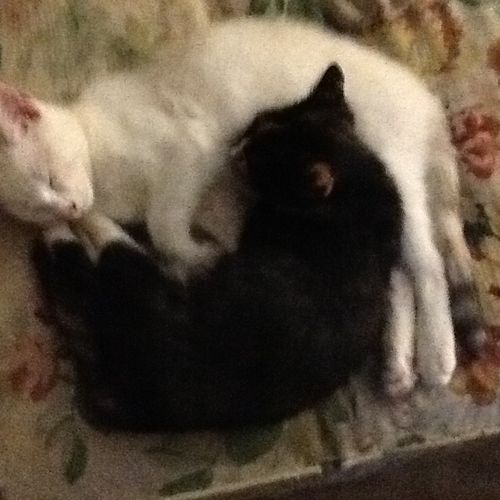 Meala and RuRu
