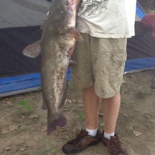 Catch of the day