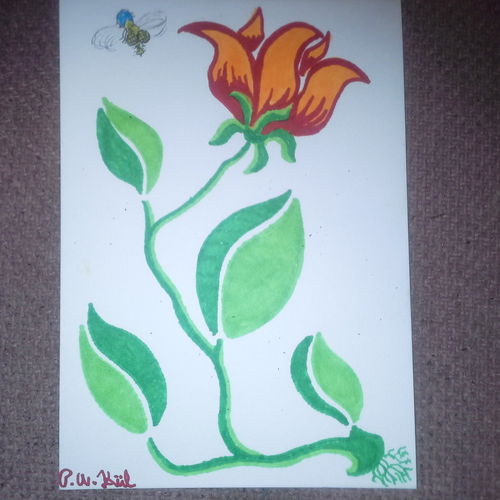 Orange and red flower