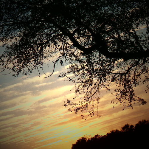 Perfect Sky 