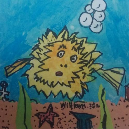 Puffer Fish