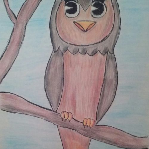 Owl