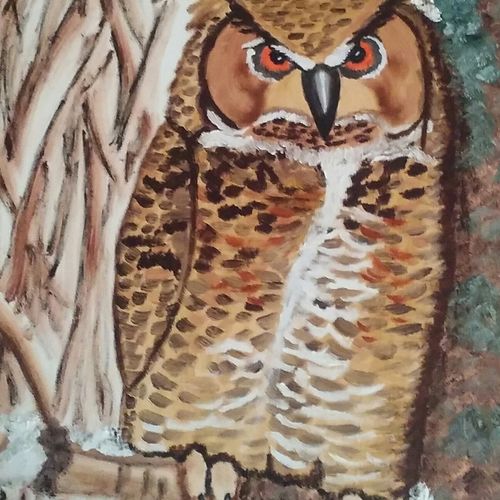 Horned Owl