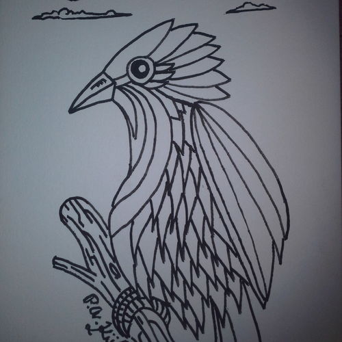 Birdy!
