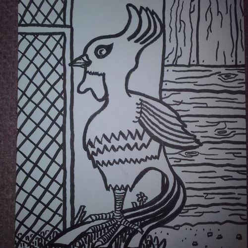 Cock!