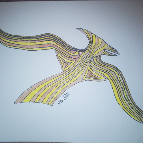 Stripy bird!
