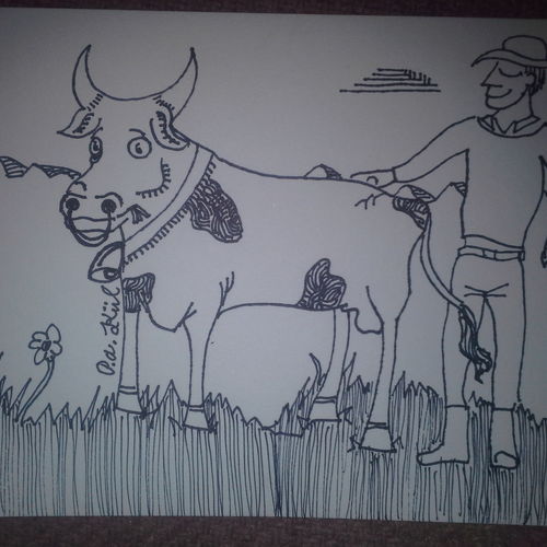 Prize bull!