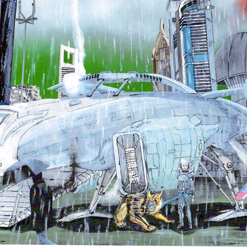 The Rain Is Falling