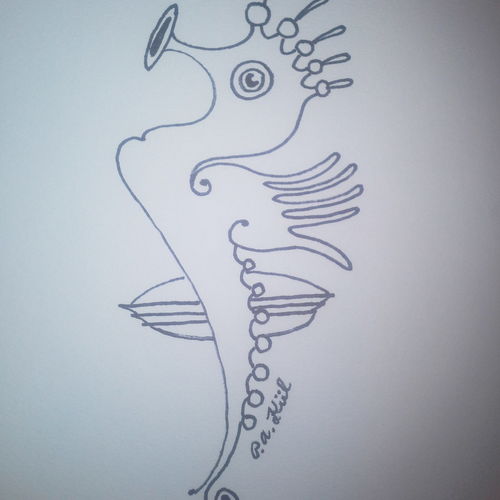 Seahorse! 
