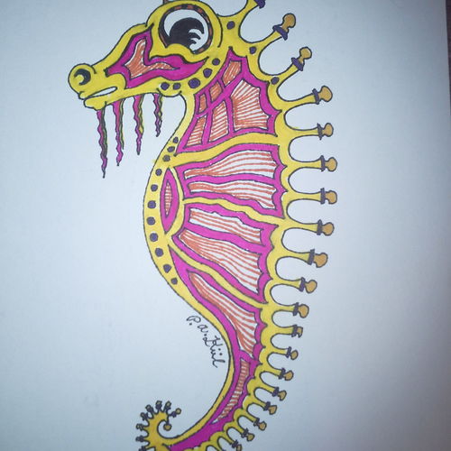 Seahorse! 