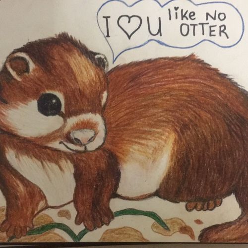 I love you like no otter