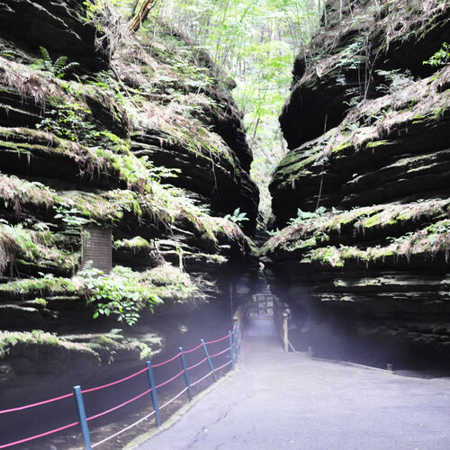 Witches Cauldron  