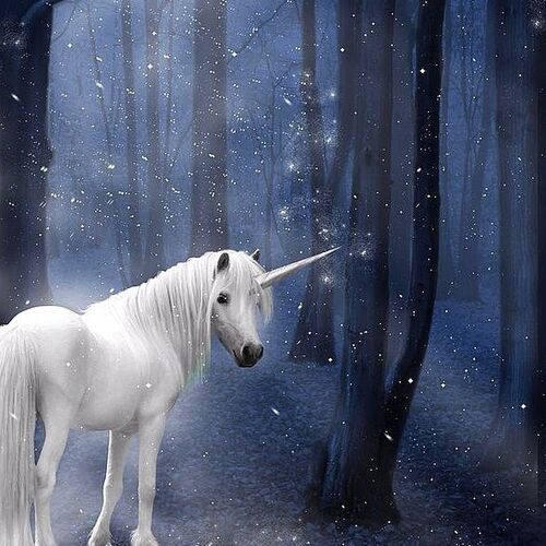 Enchanted Unicorn Forest