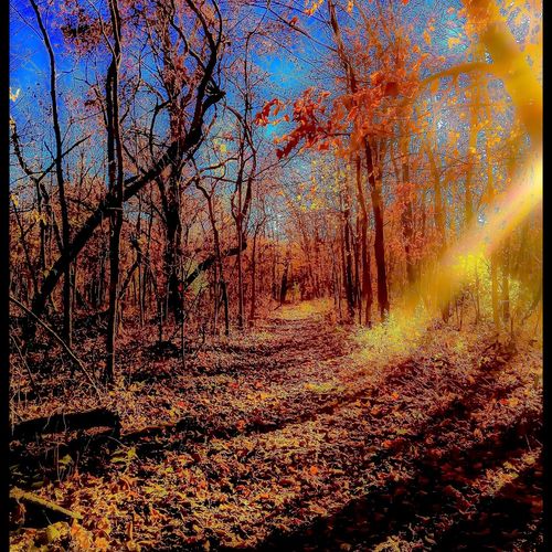 &quot;Trip&#039;n to Fall&quot; .1