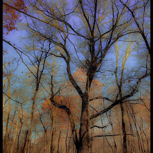&quot;Trip&#039;n to Fall&quot; .3
