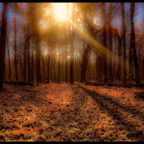 &quot;Trip&#039;n to Fall&quot; .4