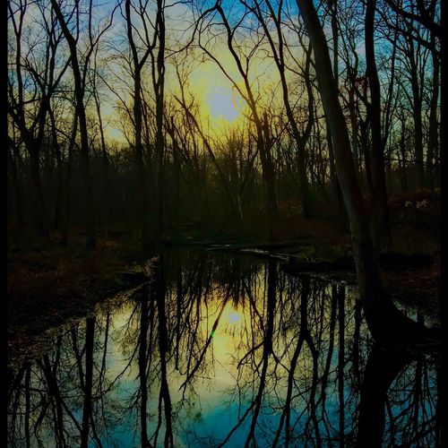 &quot;Trip&#039;n to Fall&quot; .9